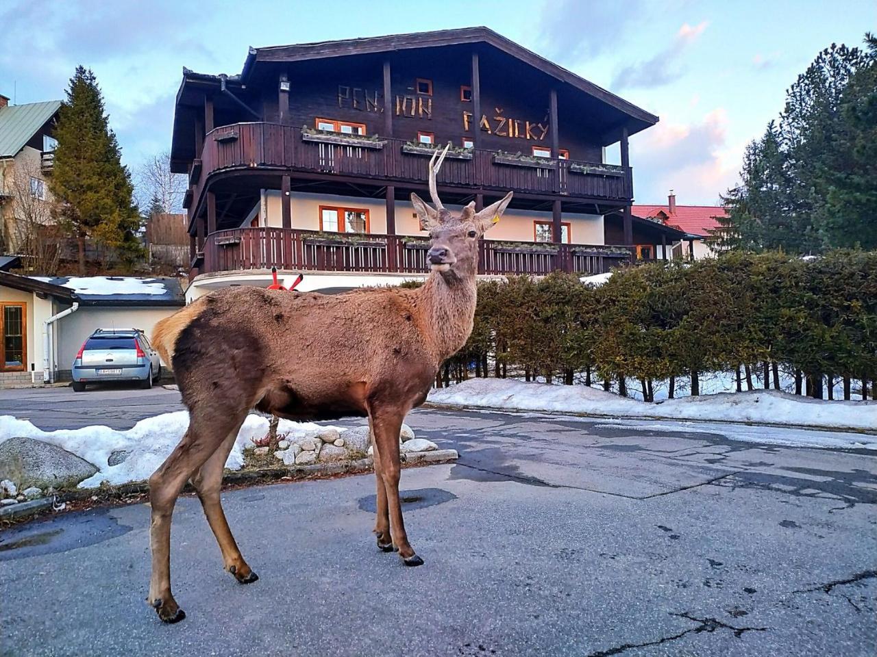 Penzion Pažický Stará Lesná Esterno foto